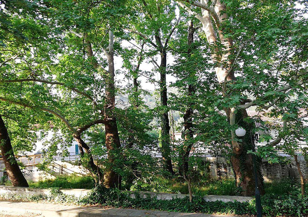 "The Plane Trees" Vila Polikarpi Exterior foto