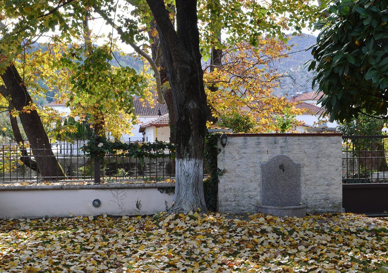 "The Plane Trees" Vila Polikarpi Exterior foto