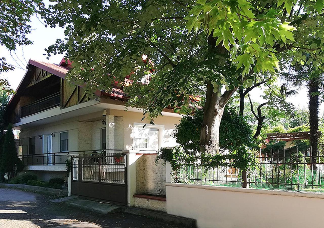 "The Plane Trees" Vila Polikarpi Exterior foto