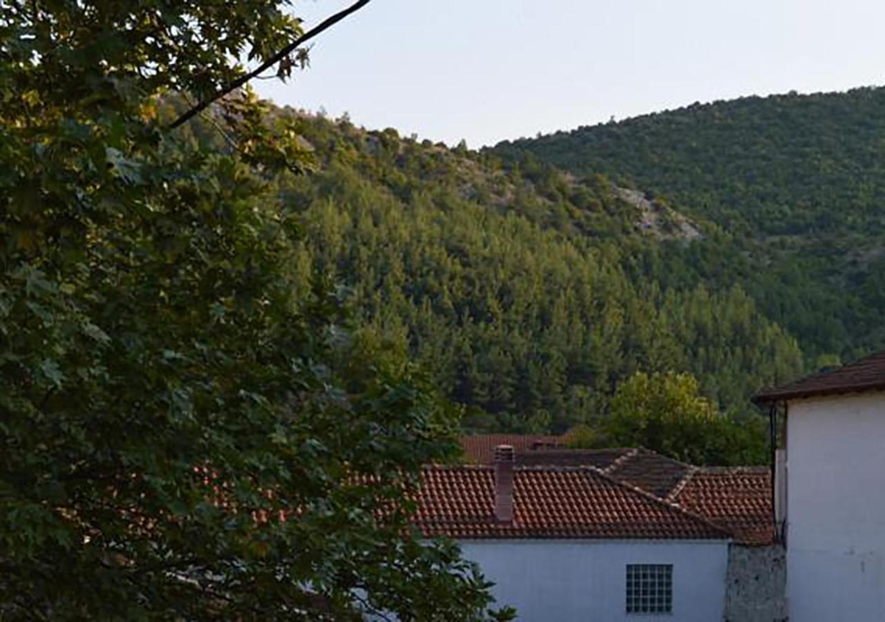 "The Plane Trees" Vila Polikarpi Exterior foto
