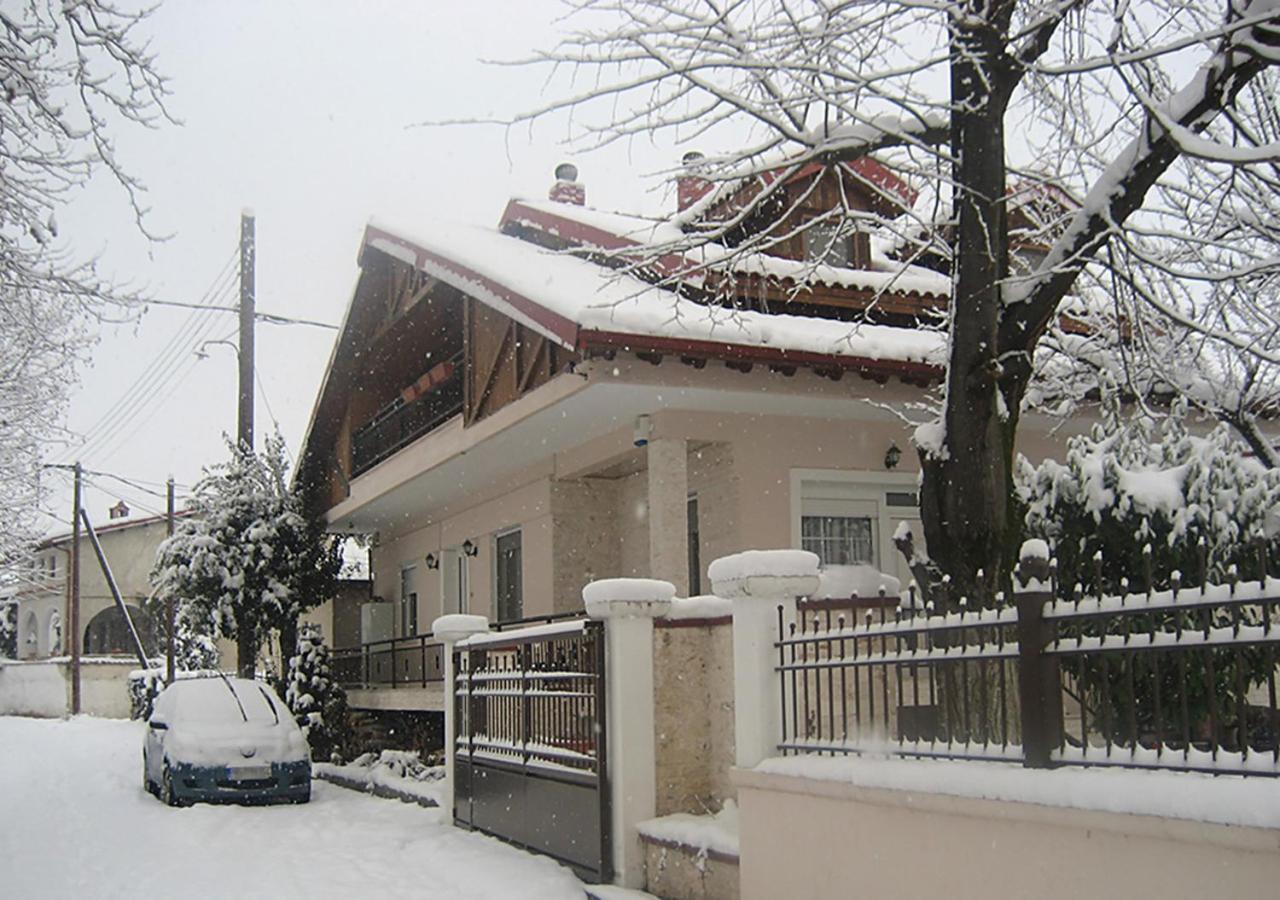 "The Plane Trees" Vila Polikarpi Exterior foto