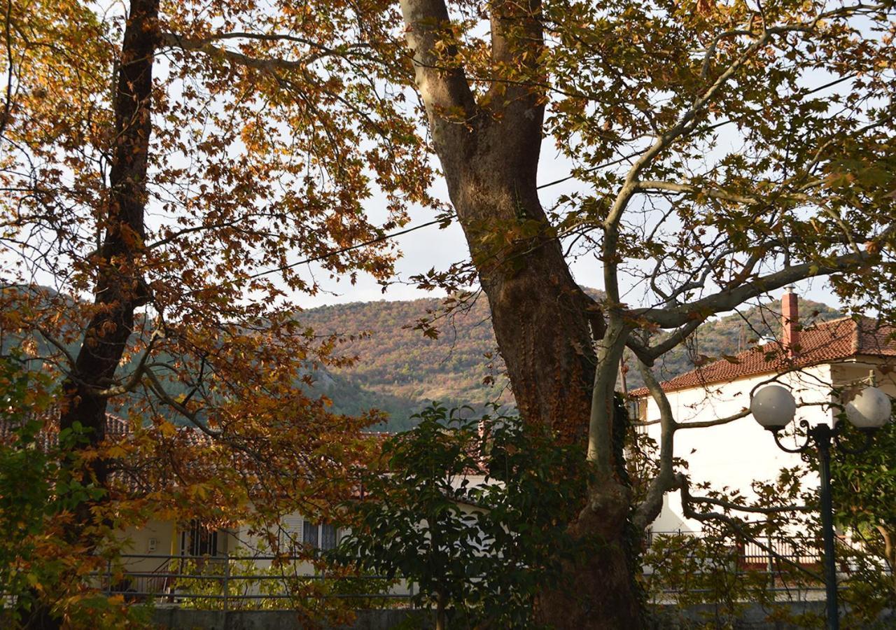 "The Plane Trees" Vila Polikarpi Exterior foto