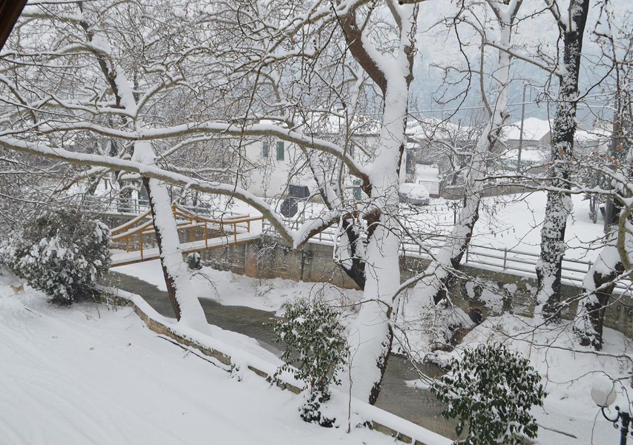 "The Plane Trees" Vila Polikarpi Exterior foto